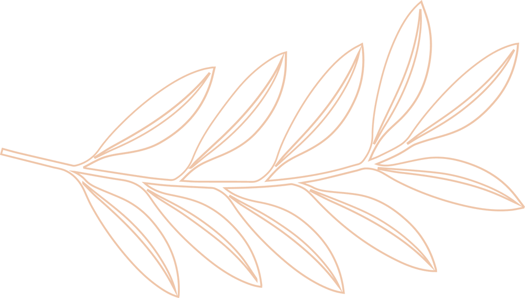 Transparent Leafy Botanical Branch in Minimalist Line Art Design