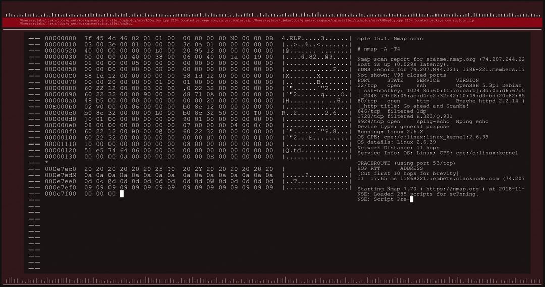 Digital Data Processing on Computer Screen with Nmap Analysis - Free Images, Stock Photos and Pictures on Pikwizard.com