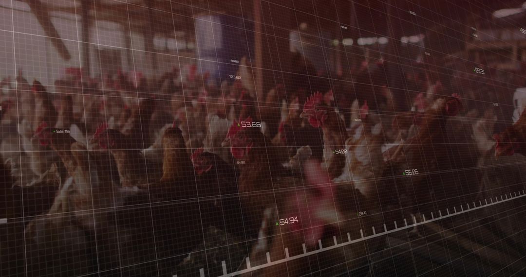 Smart Farming and Data Technology in Poultry Production