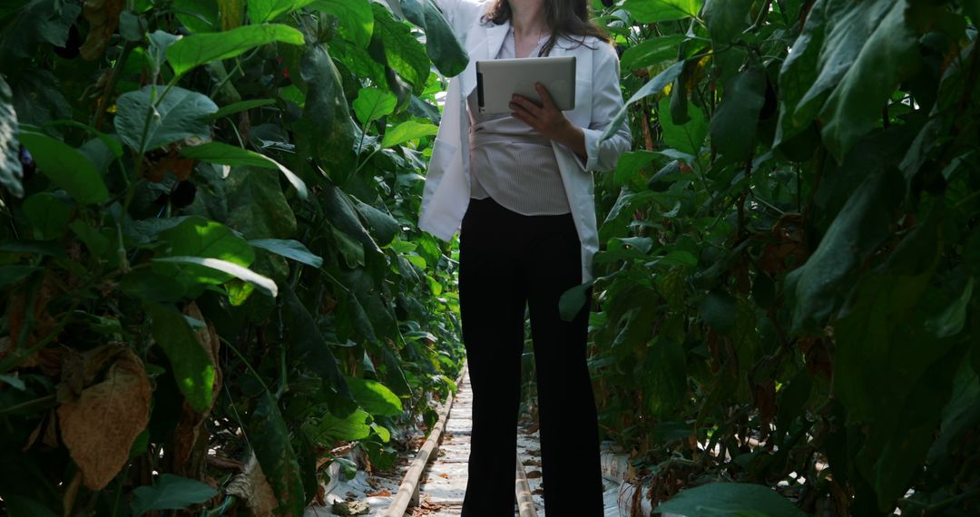 Agronomist Analyzing Plant Growth in Greenhouse