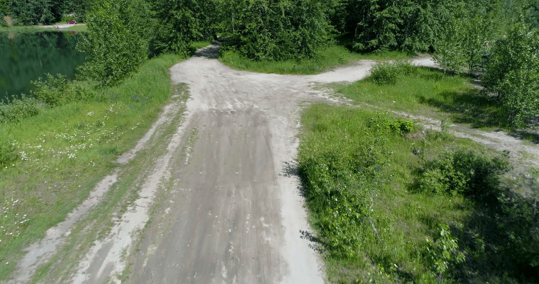 Transparent Country Path amid Lush Green Trees in Summer
