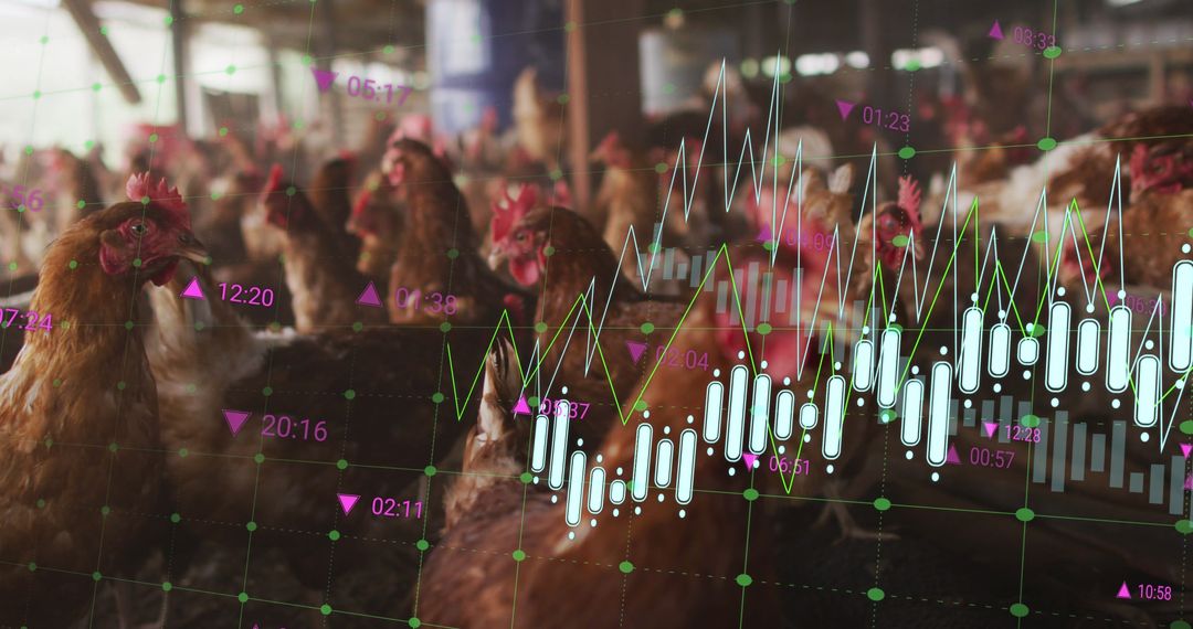 Financial Data Analytics in Poultry Farming