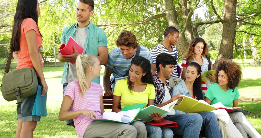 Diverse Group of College Students Studying Together in Park - Free Images, Stock Photos and Pictures on Pikwizard.com