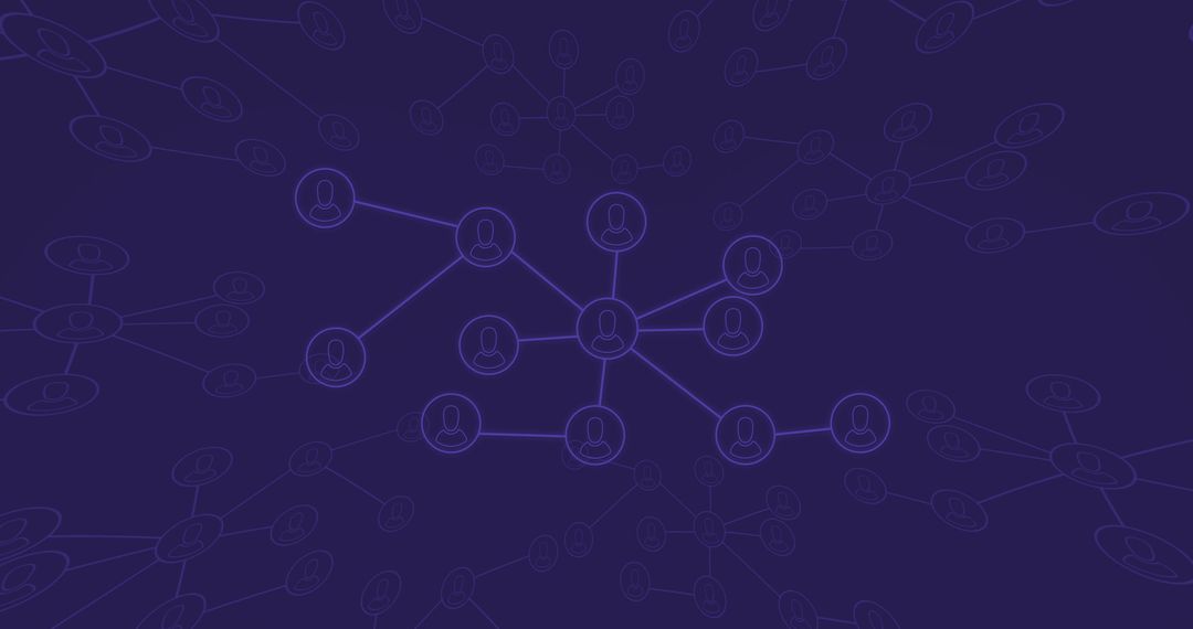 Abstract Digital Connections in a Network Pattern