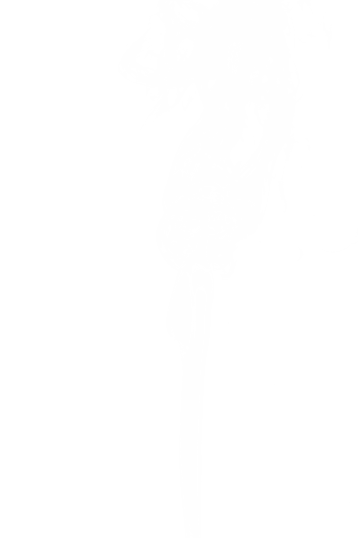 Ethereal Smoke on Transparent Background Blur Effect