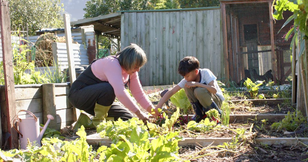 Grandmother and Grandson Gardening Together in Vegetable Garden - Free Images, Stock Photos and Pictures on Pikwizard.com