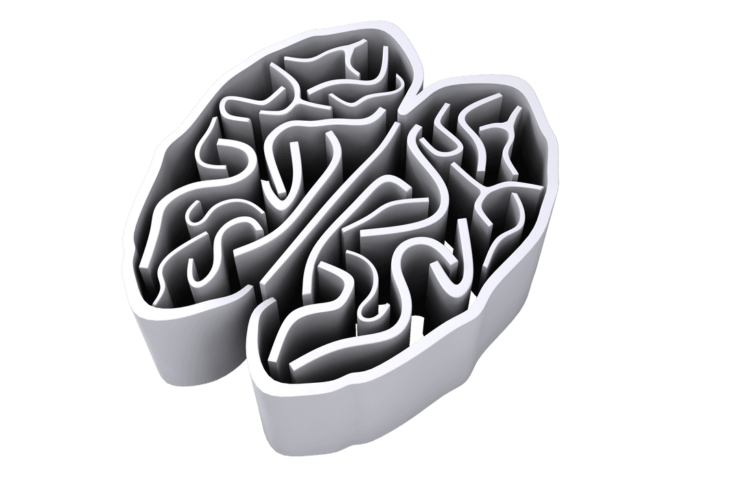 Transparent Digital Brain Model with Abstract Neural Patterns - Download Free Stock Images Pikwizard.com