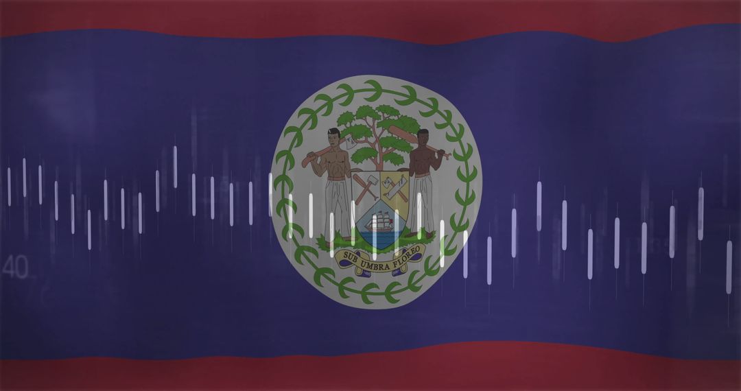 Belize National Flag on Digital Display with Audio Waveform