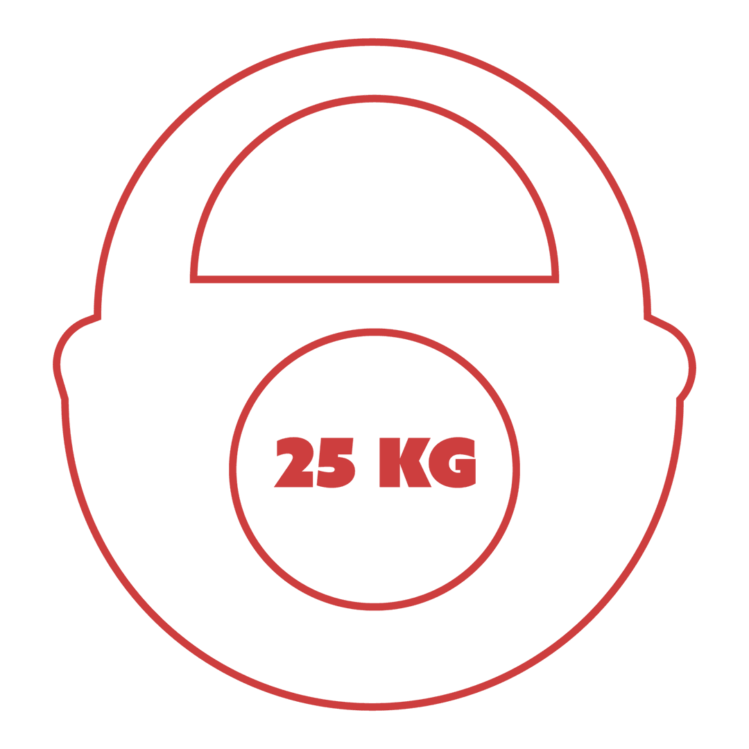 Digital Red 25kg Weight Illustration on Transparent Background