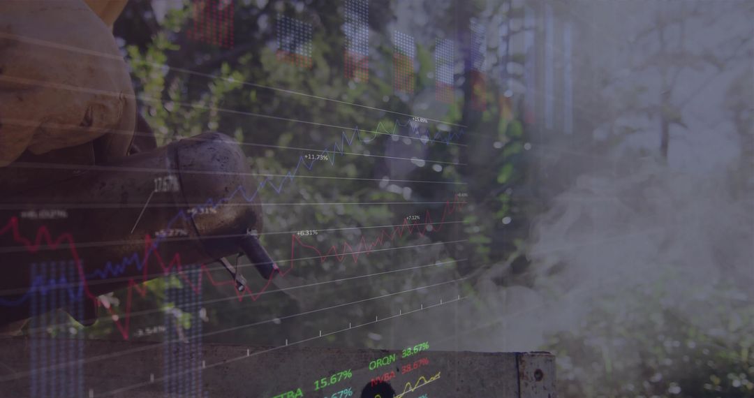 Backyard Barbecue and Stock Market Data Integration