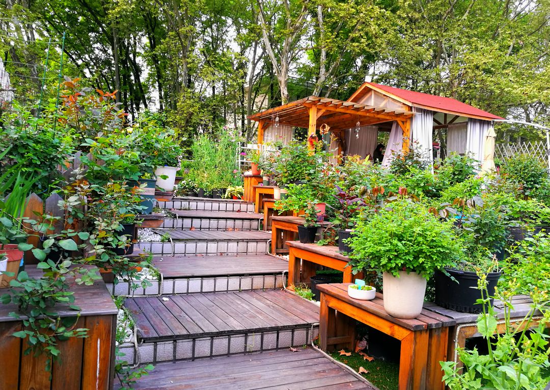 Charming Wooden Terrace with Lush Greenery and Garden Shed - Free Images, Stock Photos and Pictures on Pikwizard.com