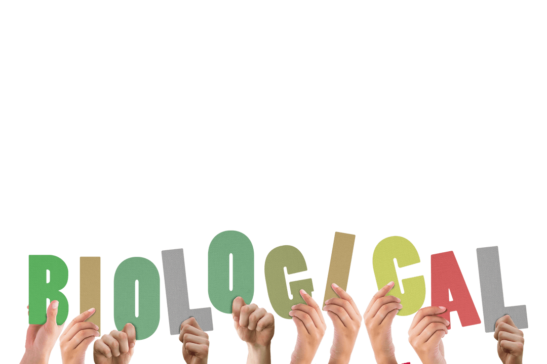 Hands Holding Biological Text on Transparent Background