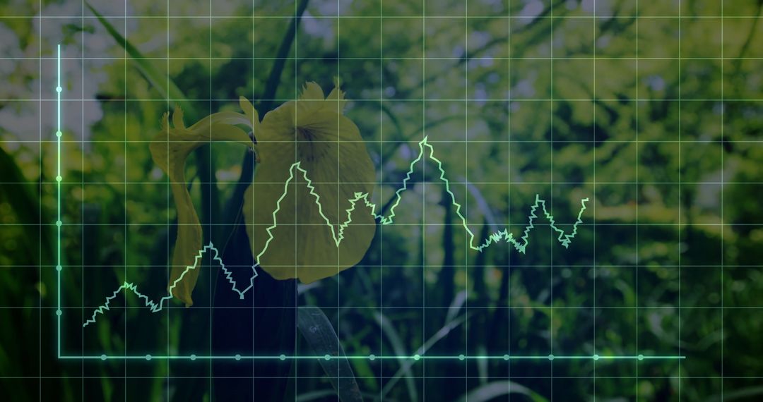 Analytical Data Visualization Superimposed on Yellow Iris Flower