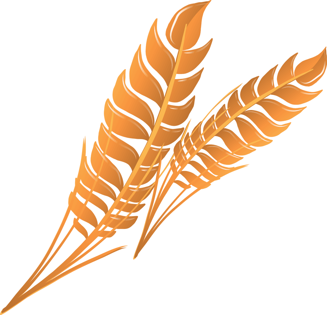 Luxurious Overlapping Gold Fronds on Transparent Background