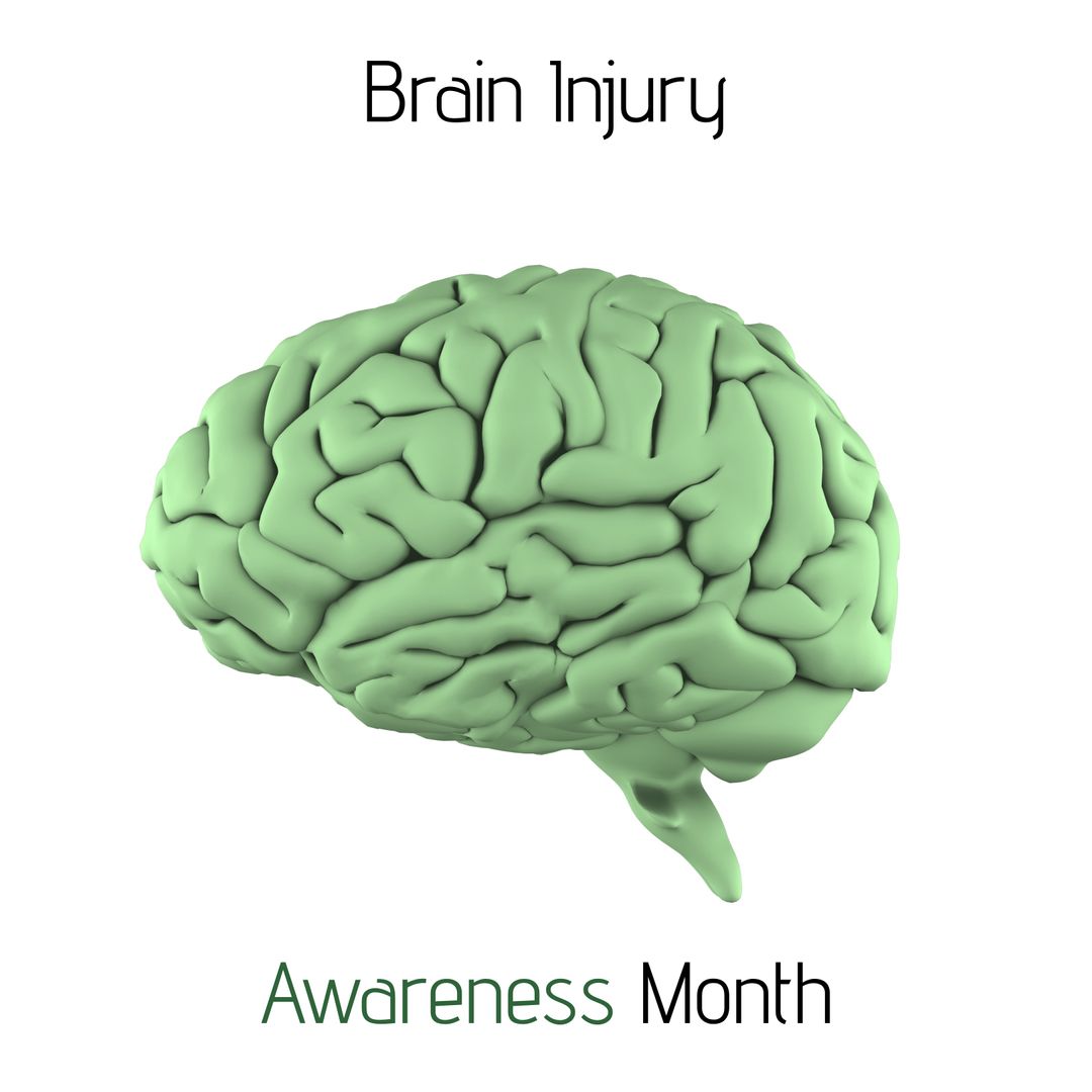 3D Green Brain Model for Brain Injury Awareness Campaign