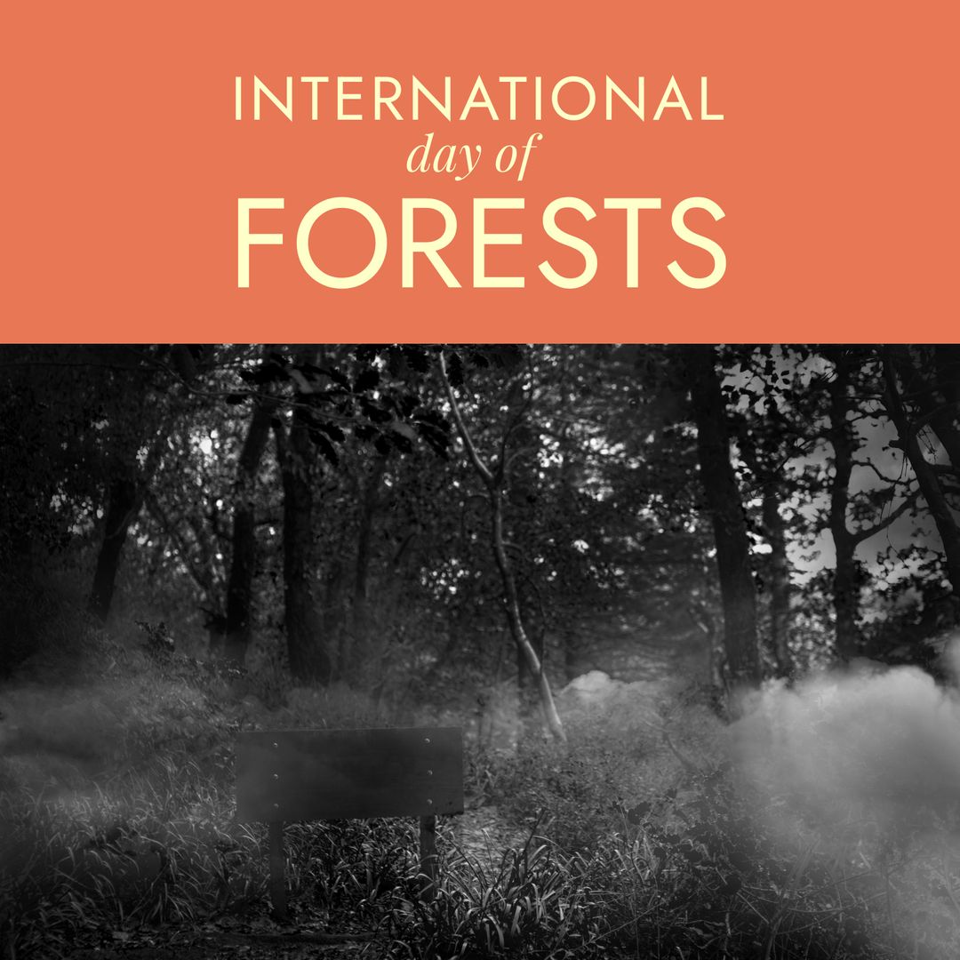 Misty Forest with International Day of Forests Text Overlay