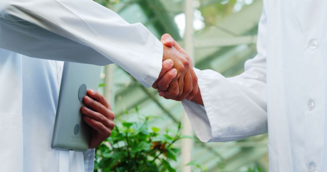 Healthcare Professionals Shaking Hands in Agreement - Free Images, Stock Photos and Pictures on Pikwizard.com