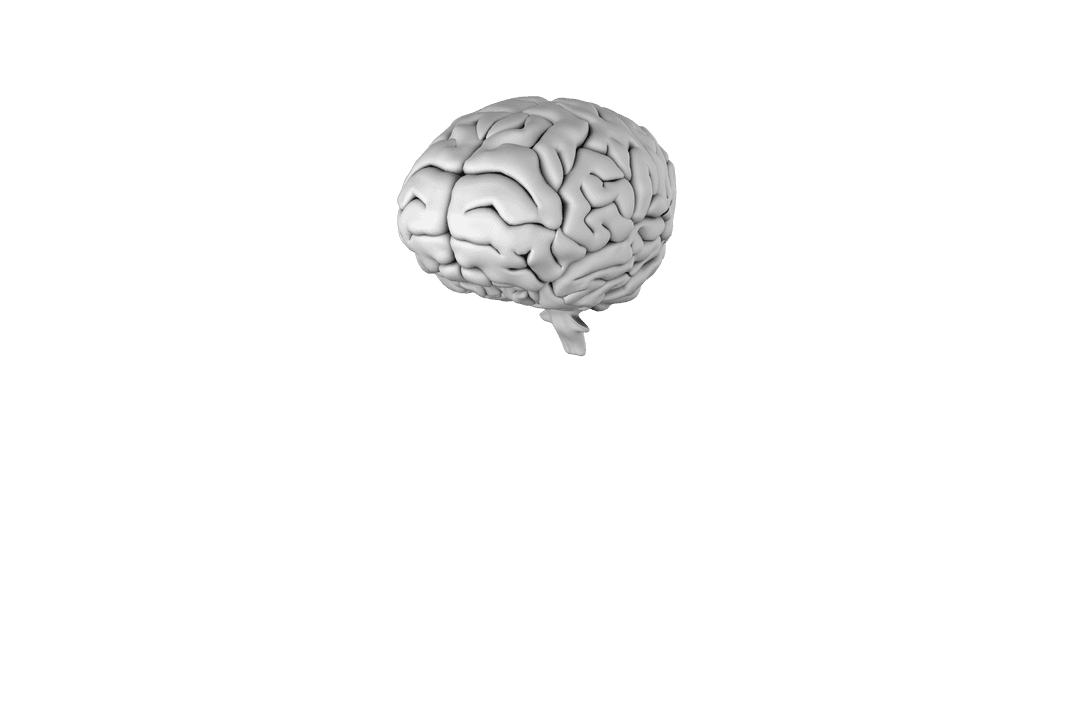 Transparent Grey Human Brain on Background Illustration