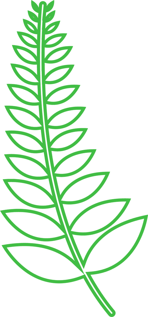 Green Leafy Twig Transparent Background Nature Illustration