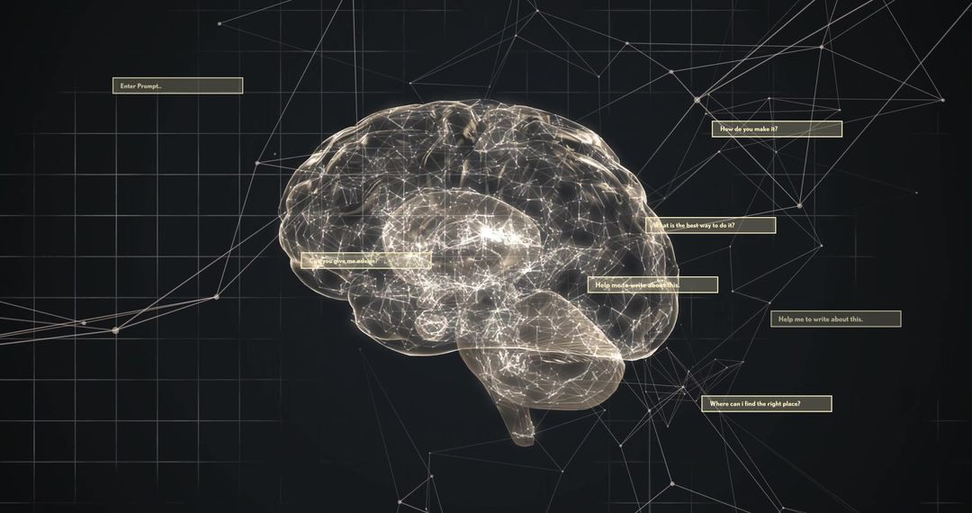 Digital Brain with Data Connectivity Elements