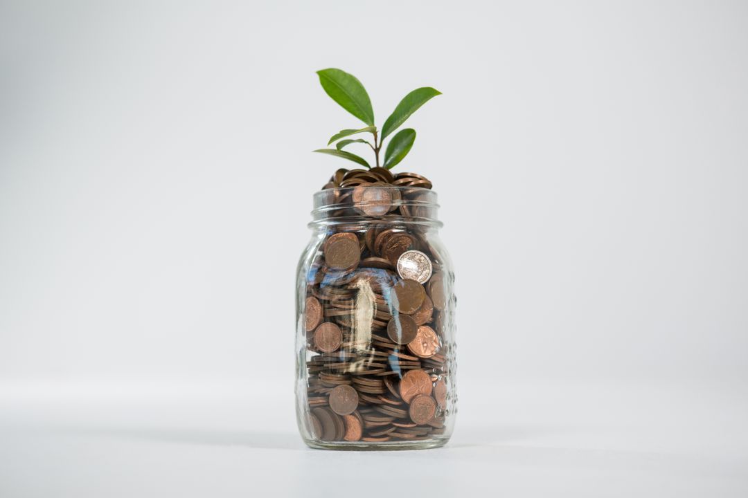 Plant Growing from Jar of Coins Symbolizing Financial Growth - Free Images, Stock Photos and Pictures on Pikwizard.com