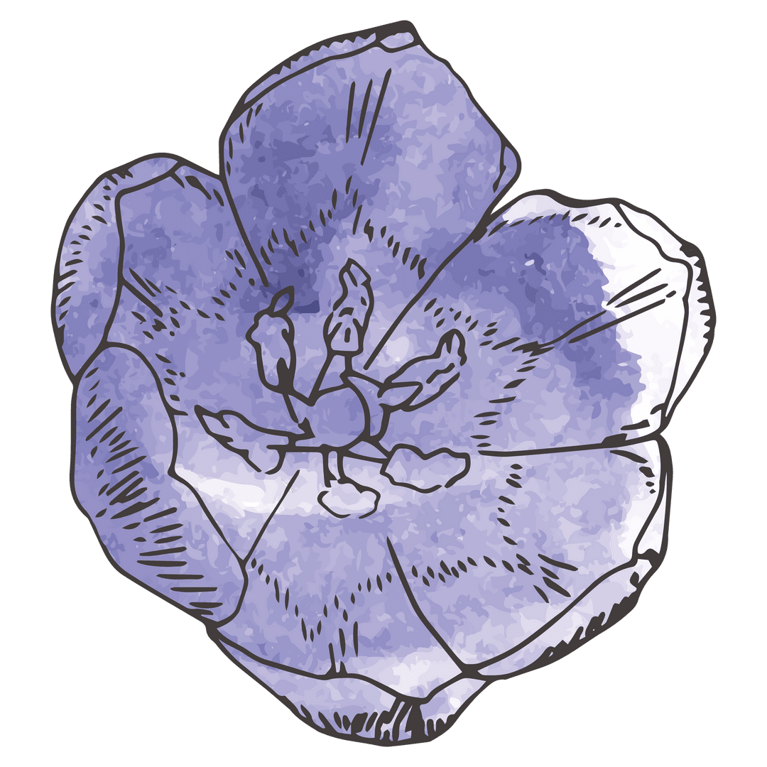 Abstract Blue Flower Art on Transparent Background