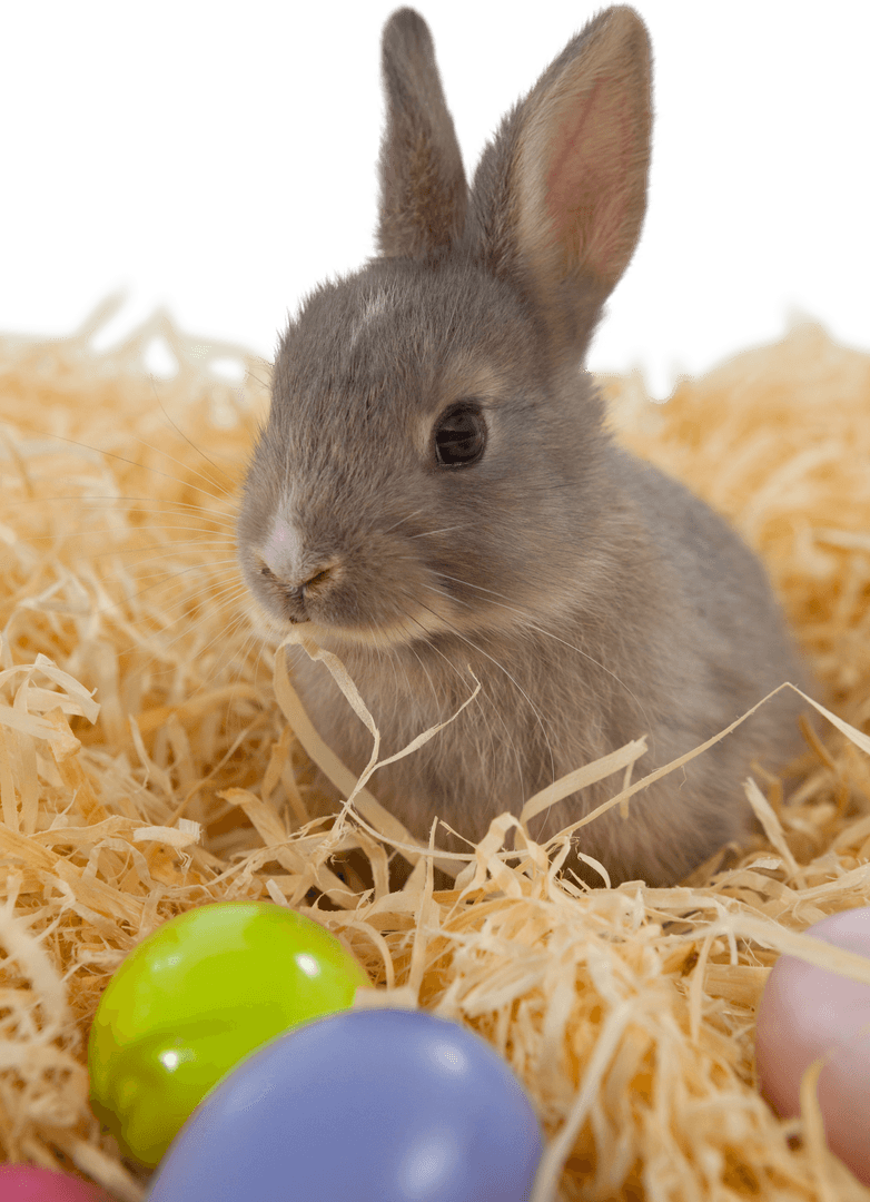 Transparent Bunny Surrounded by Easter Eggs on Straw