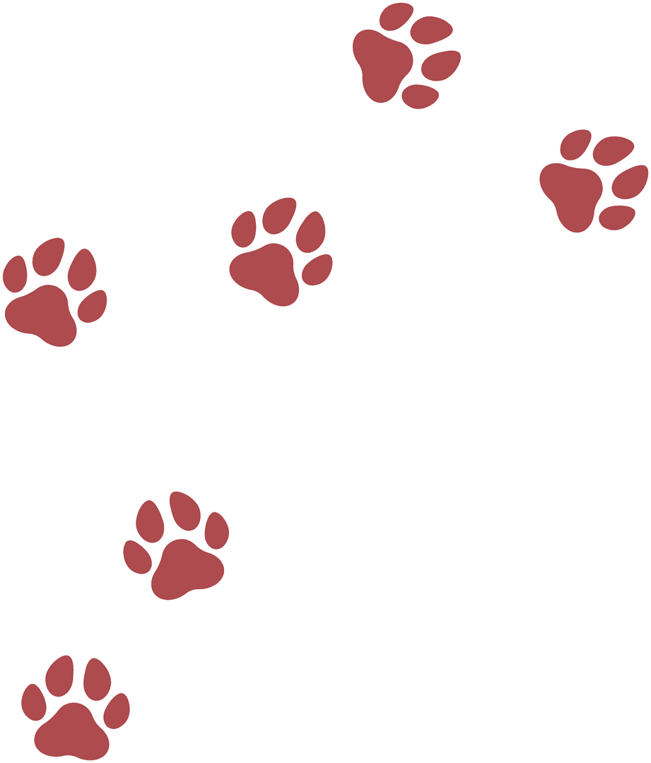 Red Paw Print Icons on Transparent Background for Wildlife Design