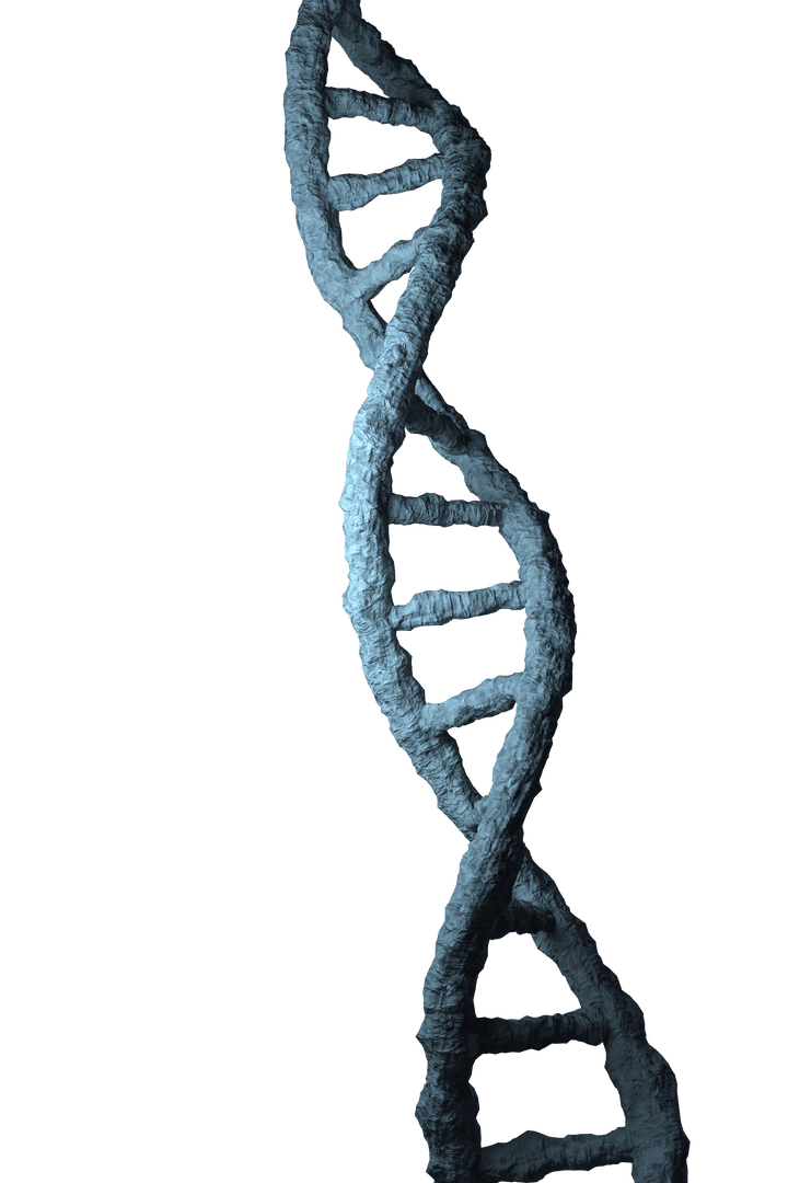 Transparent Digital Illustration of DNA Helix