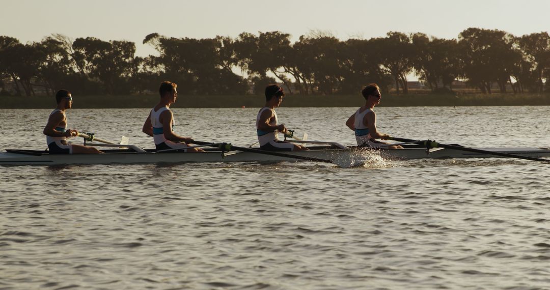 Team of Four Men Rowing on Calm Lake at Sunset - Free Images, Stock Photos and Pictures on Pikwizard.com