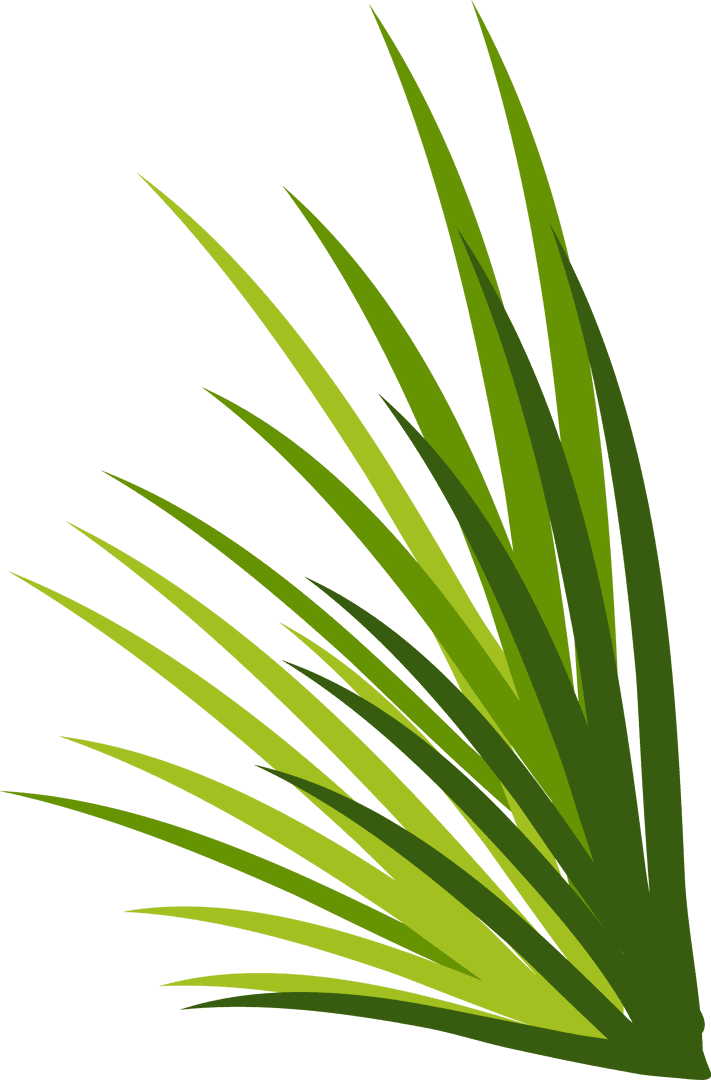 Vibrant Green Palm Leaves on Transparent Background Vector Illustration