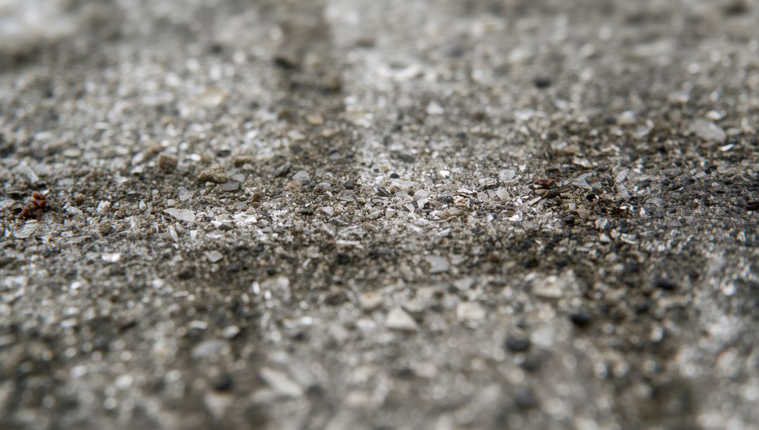 Macro coastal gravel and crushed shells texture on sandy shoreline with pebbles