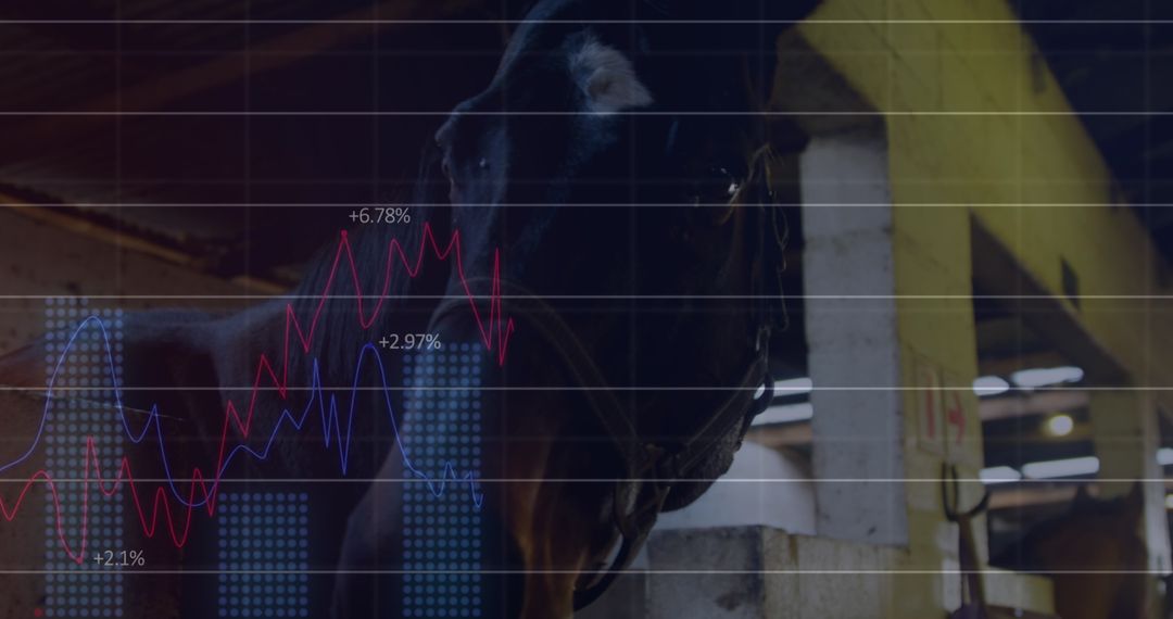 Digital Interface Overlaid on Stable Horses