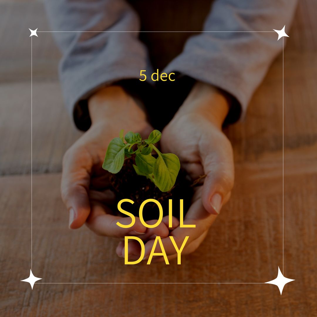 Celebrating Soil Day with Growing Green Seedling in Caring Hands