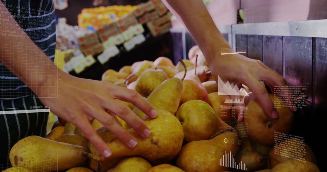 Hands Selecting Fresh Pears at Grocery Produce Section