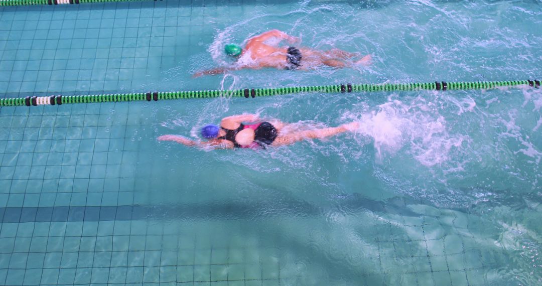 Competitive Swimmers Racing in Pool from Top View - Free Images, Stock Photos and Pictures on Pikwizard.com