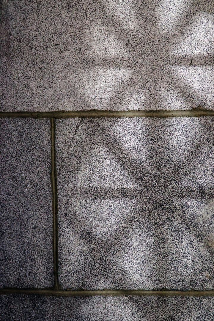 Shadow Play on Stone Wall Showing Decorative Pattern