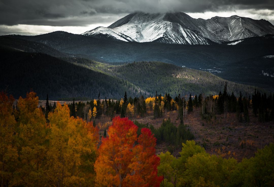 Dramatic Mountain Landscape with Autumn Trees and Snowy Peaks - Free Images, Stock Photos and Pictures on Pikwizard.com