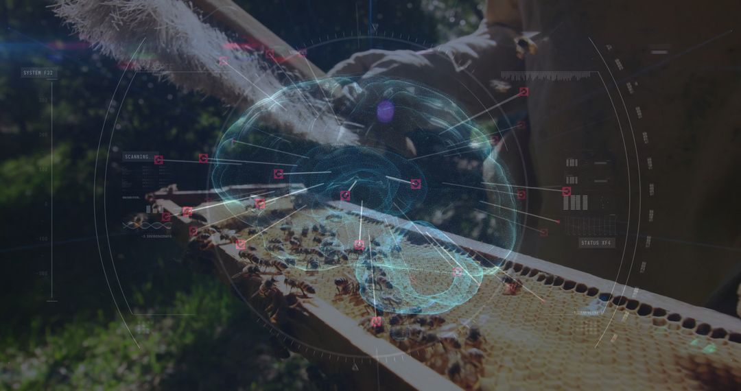 Beekeeper Handling Honeycomb with Digital Interface Overlay