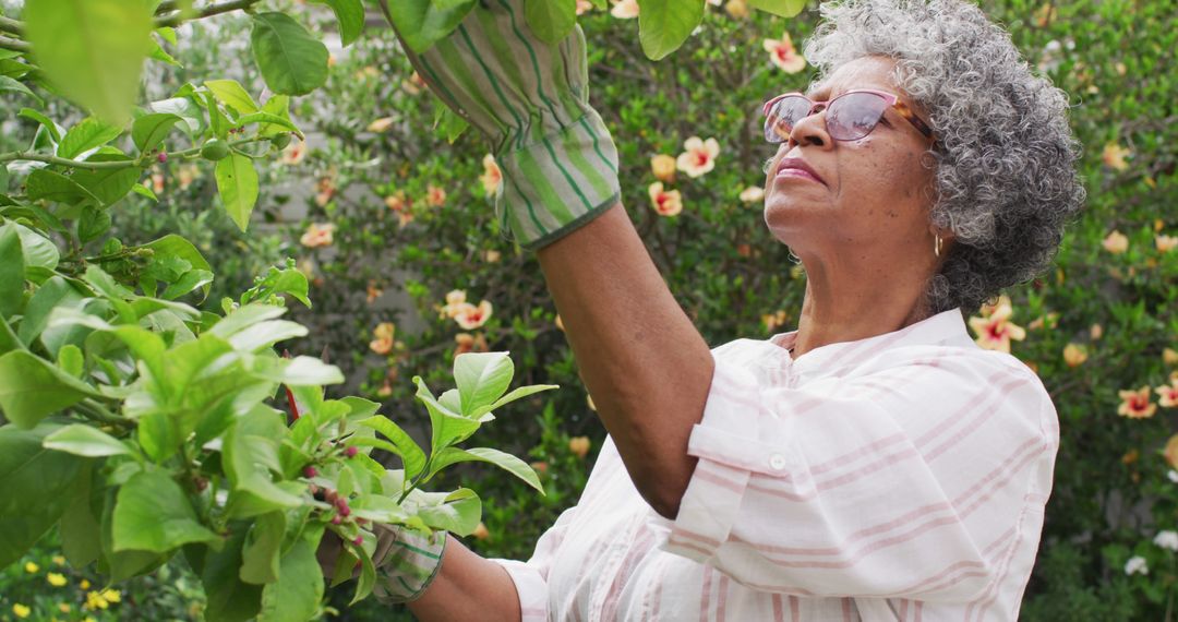 Senior Woman Gardening with Gloves in Beautiful Backyard