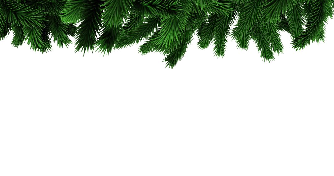 Festive Evergreen Background with Pine Branches