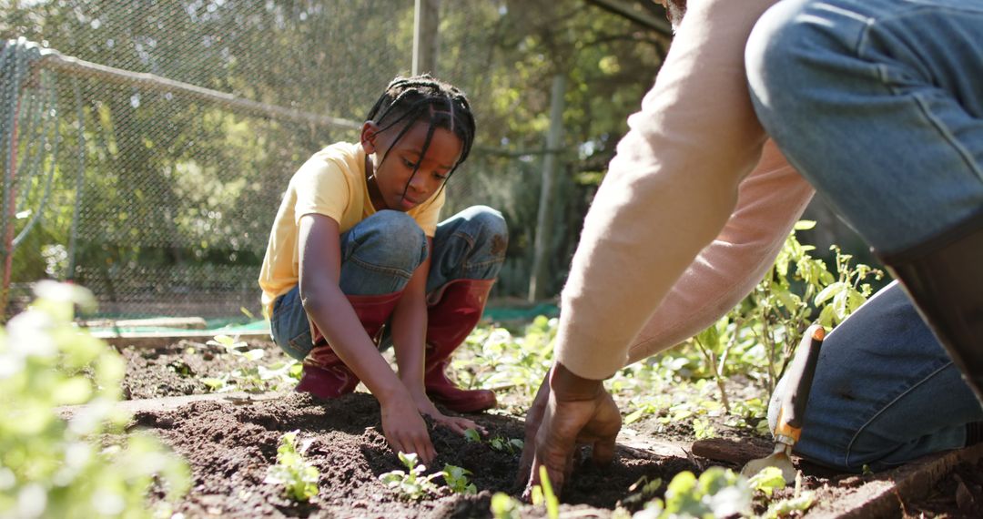 Father and Daughter Planting Vegetables in Garden Together - Free Images, Stock Photos and Pictures on Pikwizard.com