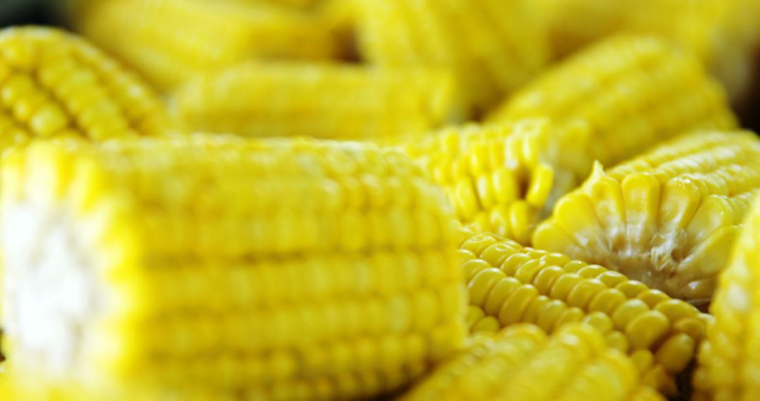 Close-up of vibrant yellow corn cobs, showcasing the texture and patterns of the kernels - Free Images, Stock Photos and Pictures on Pikwizard.com