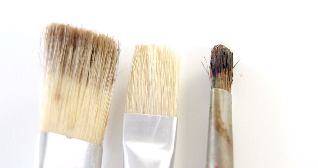 Close-Up of Three Different Paint Brushes on White Background - Free Images, Stock Photos and Pictures on Pikwizard.com