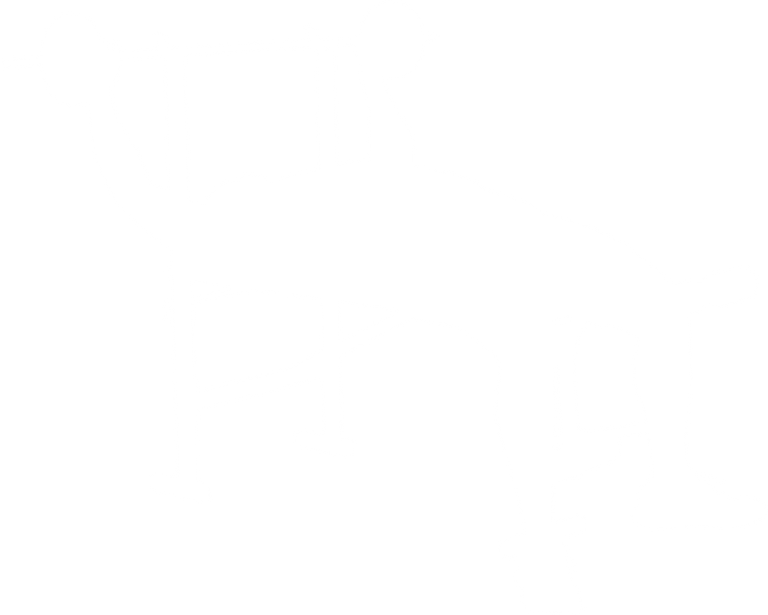 Silhouette Man Exercising with Barbell on Transparent Background - Download Free Stock Images Pikwizard.com