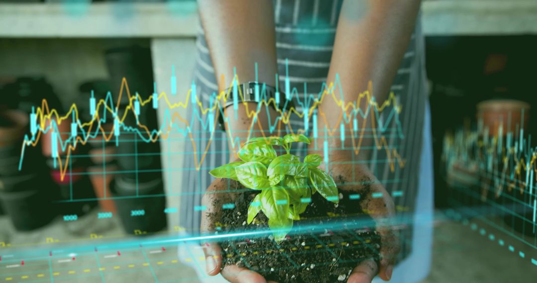 Hands Holding Seedling with Digital Growth Charts for Sustainable Agriculture Innovation