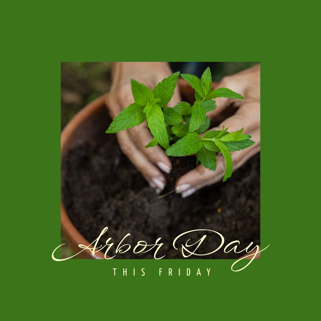 Hands Planting Herb in Clay Pot for Arbor Day - Download Free Stock Templates Pikwizard.com