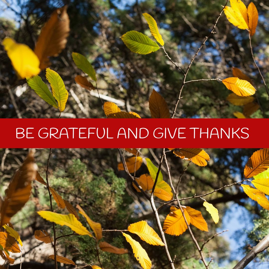 Vibrant Autumn Leaves with Gratitude Message for Thanksgiving