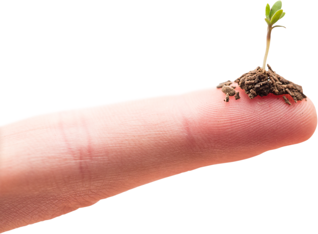 Human Finger Holding Young Plant with Soil on Transparent Background - Download Free Stock Images Pikwizard.com