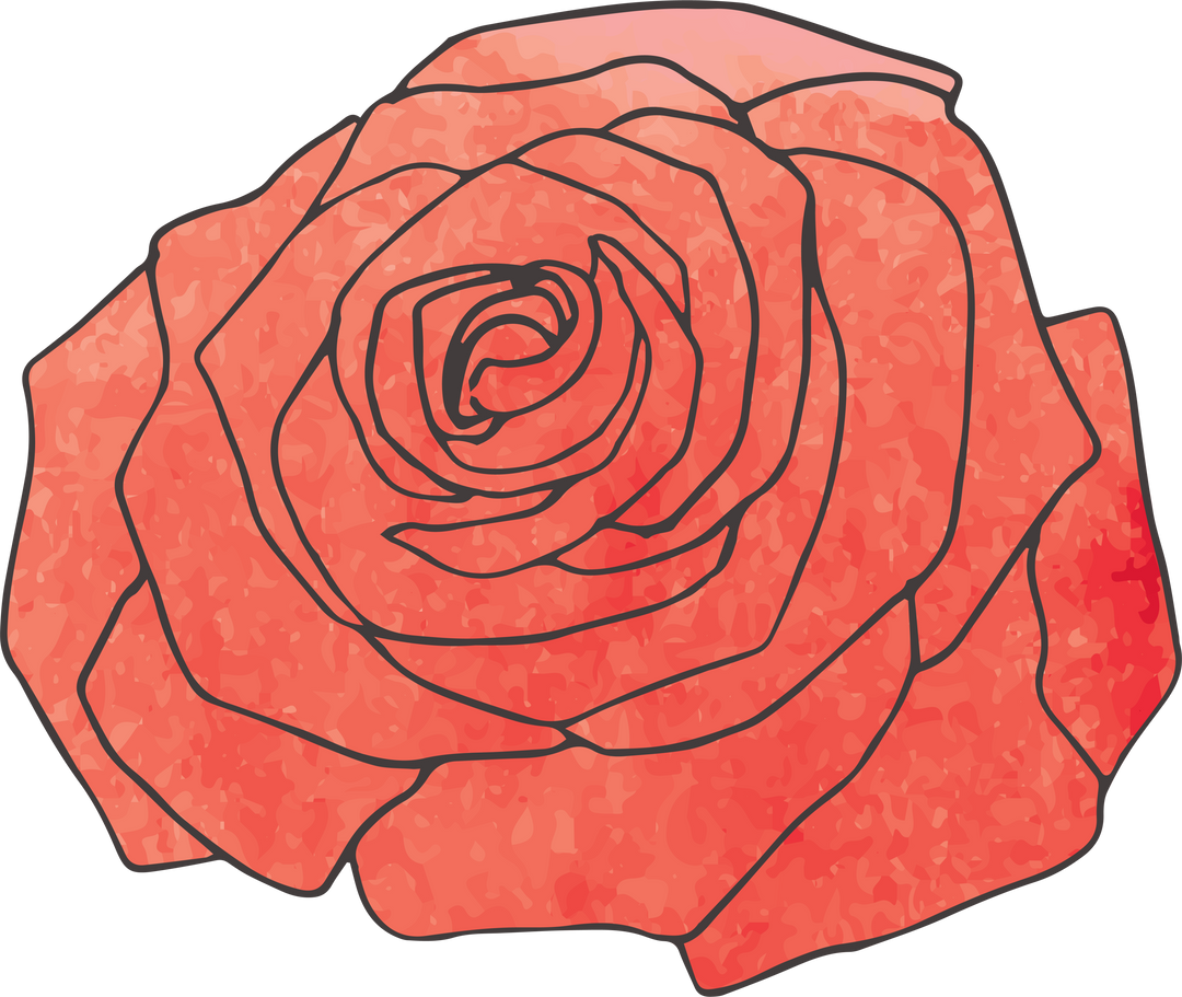 Beautiful Transparent Red Rose Flower Head Digital Illustration - Download Free Stock Images Pikwizard.com